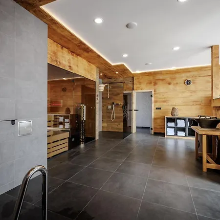 Vysoká Lípa - Wellness Hotel