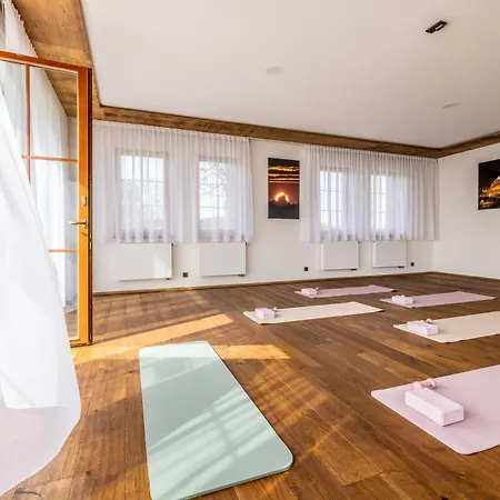 Hotel Vysoká Lípa - Wellness 4*