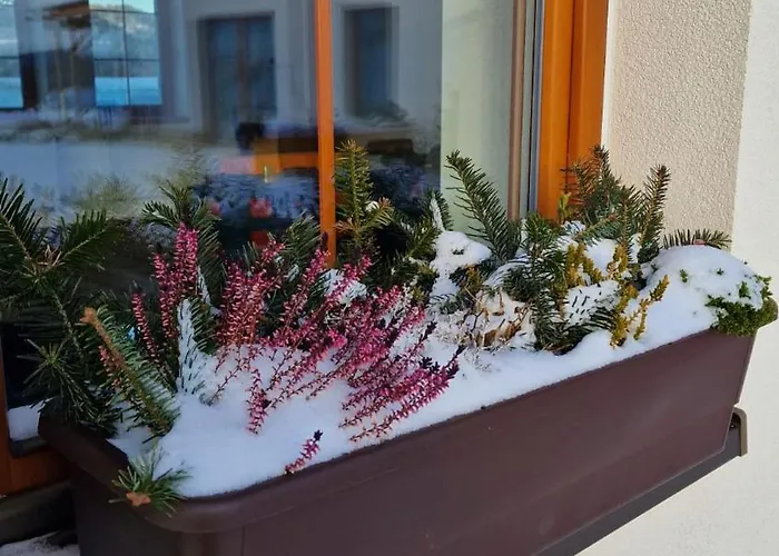 Vysoka Lipa - Wellness Jetřichovice